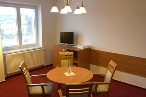 Penzion Bocheta Hotel Novy Jicin Room photo