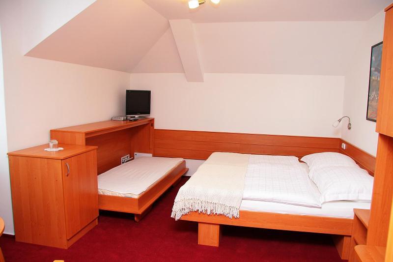 Penzion Bocheta Hotel Novy Jicin Room photo