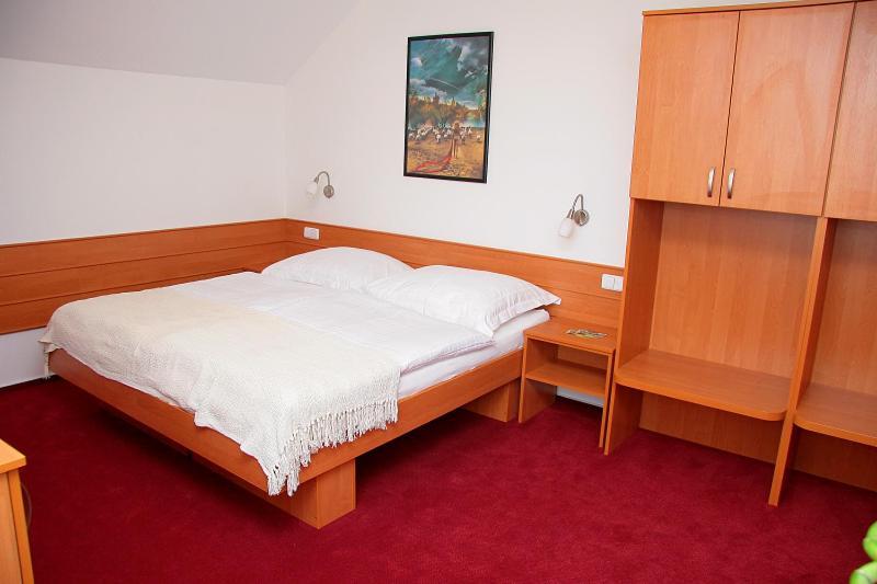 Penzion Bocheta Hotel Novy Jicin Room photo