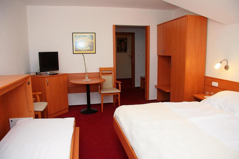 Penzion Bocheta Hotel Novy Jicin Room photo