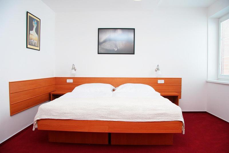 Penzion Bocheta Hotel Novy Jicin Room photo